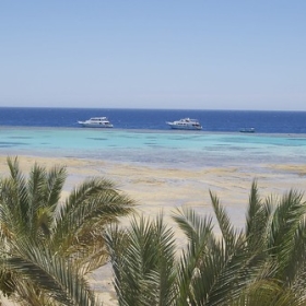 Ägypten - Soma Bay (Pressereise) • <a style="font-size:0.8em;" href="http://www.flickr.com/photos/80202694@N02/14277516158/" target="_blank">View on Flickr</a>