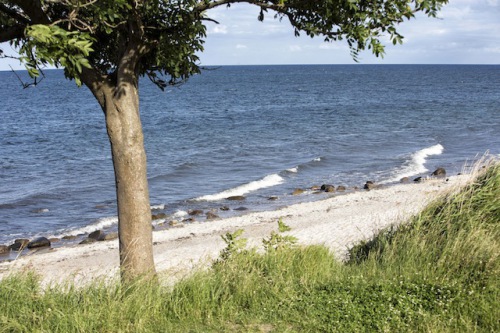 Wegen ihrer flach abfallenden Ufersäume sind die Sandstrände der Insel Fehmarn besonders bei Familien beliebt. Foto: djd/Tourismus-Service Fehmarn/Fotograf: Thies Rätzke