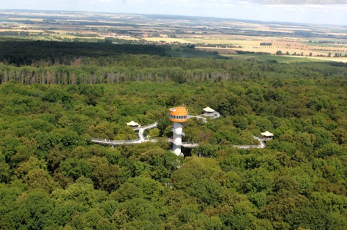 Auf dem Baumkronenpfad unweit vom Nationalparkzentrum kann man den Wald von oben erforschen. Foto: djd/Tourismusverband der Welterberegion/ReKo GmbH