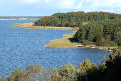 Auf der Halbinsel Gnitz wechseln sich Wälder, Salzwiesen und offenes Buschland ab. Foto: djd/Eigenbetrieb "Kurverwaltung Zinnowitz"/Wolfgang Nehls