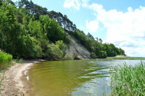 Uferschwalben haben ihre Nisthöhlen in die steile Wand des "Weißen Berges" gebaut. Foto: djd/Eigenbetrieb "Kurverwaltung Zinnowitz"/Wolfgang Nehls