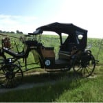 Aaglander vor fränkischen Weinbergen in Prichsenstadt, ein Original-Produkt aus Franken