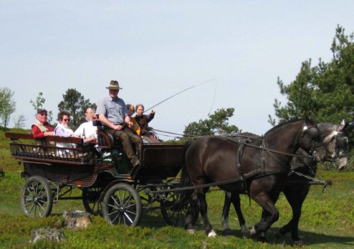 Foto: Mit der Pferdekutsche gemütlich durch Willingen und Umgebung