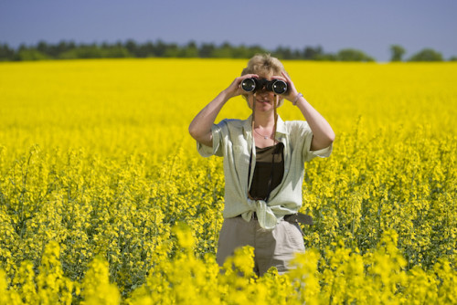 Inmitten der hügeligen Endmoränenlandschaft der Nordwest-Uckermark gibt es viele Naturschönheiten zu entdecken. (Foto: epr/Kappest/Uckermark)