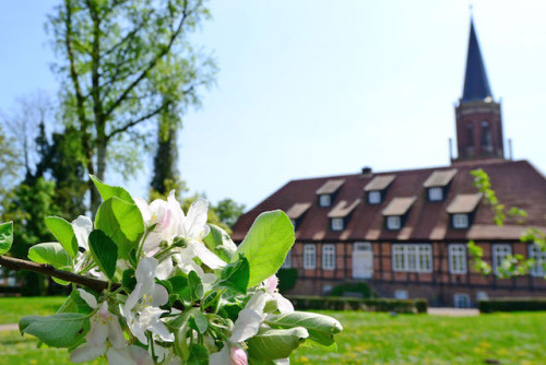 Zum reizvollen Klosterpark Harsefeld gehört die dreischiffig gewölbte St. Marien- und Bartholomäikirche aus dem 15. Jahrhundert. Foto: djd/Tourismusverband Landkreis Stade/Martin Elsen