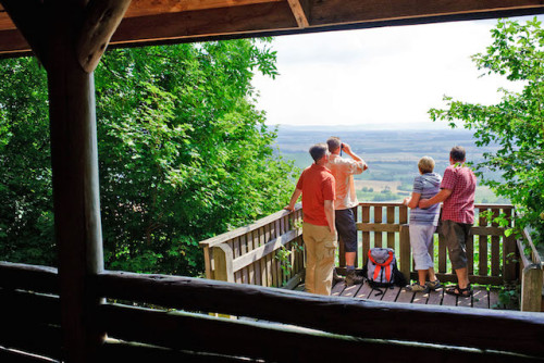 In Schweinfurt treffen das fränkische Weinland, der Steigerwald und die Haßberge aufeinander. Foto: djd/TV Franken/A. Hub/Tourist-Information Schweinfurt360°