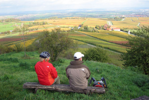 Blick vom Michaelsberg: Schöne Aussichten gehören beim Wandern in der Ferienregion Kraichgau-Stromberg dazu. Foto: djd/Kraichgau-Stromberg Tourismus e.V.