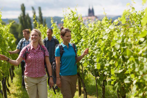 Foto: Tourismusverband Sächsisches Elbland e.V.