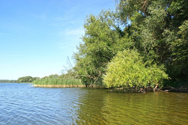 Der Wolletzsee liegt in einer sanft hügeligen Landschaft und ist fast vollständig von Wald umgeben. Foto: djd/www.angermuende-tourismus.de