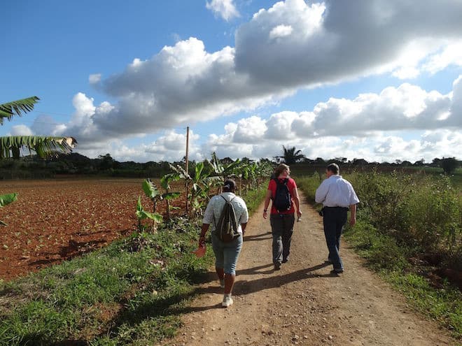 Kuba: Wanderer unterwegs im Viñales-Tal Foto: Wikinger Reisen