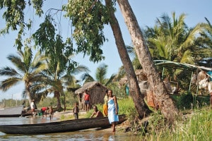 Durch seine einzigartige Lage inmitten des Indischen Ozeans entwickelte sich auf dem Eiland eine Tier- und Pflanzenwelt, die Reisenden magische Erlebnisse verspricht. Foto: djd/Abendsonne Afrika