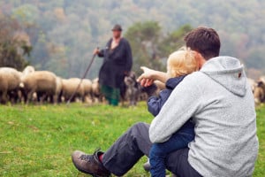 Besser als Fernsehgucken: Tiere in freier Natur zu beobachten, macht nicht nur Spaß, sondern ist auch sehr lehrreich. (Foto: epr/Landratsamt Heidenheim/Heiko Grandel)