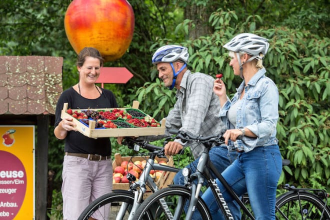 Regionale Köstlichkeiten warten am Wegesrand auf die Radler. Foto: djd/Nördliches Harzvorland Tourismusverband