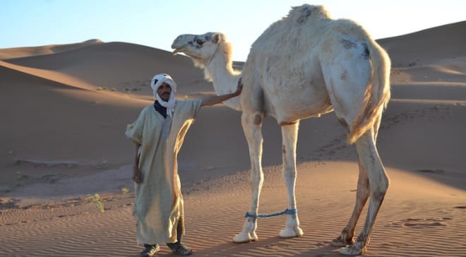 „The best you can do is to walk with a camel and smile.“ (Nomadische Weisheit) Foto: Marokko To Go 