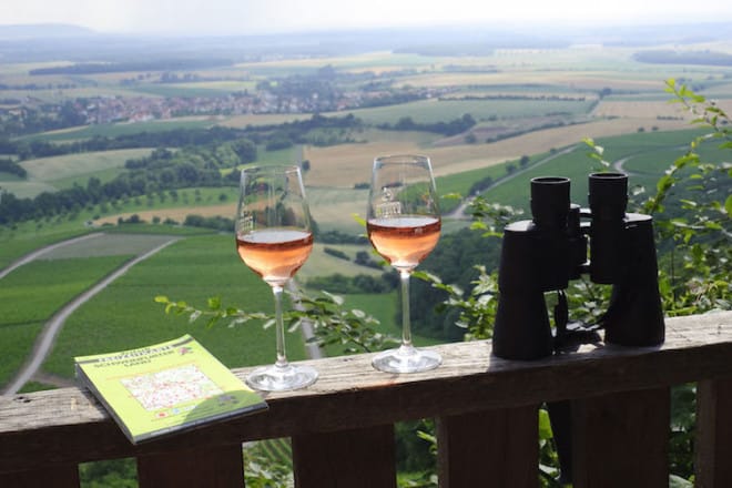 Schon Goethe wusste den Frankenwein zu schätzen. Für die Menschen hier ist er ein Volksgetränk, für Kenner zählt er zu den besten Tropfen der Welt. Foto: djd/TI Schweinfurt 360°/TV Franken/A. Hub