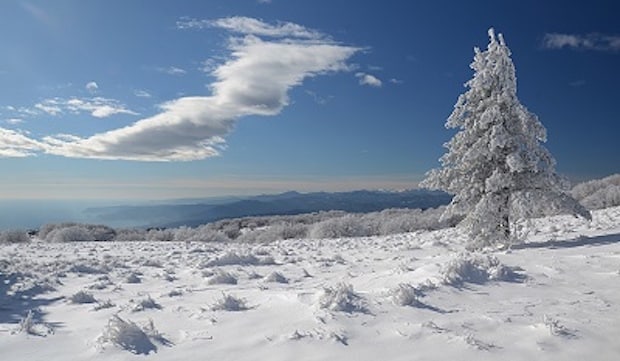 Photo Archive Agenzia In Liguria