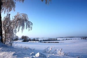 Foto: epr/Uckermark/Anet Hoppe