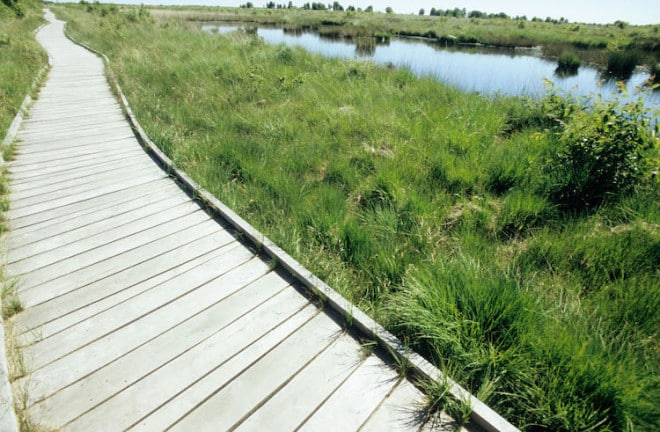 Um das "Ewige Meer" führt ein Holzbohlenweg. So kommt man trockenen Fußes durch das Naturschutzgebiet. Foto: djd/Tourismus GmbH Gemeinde Dornum