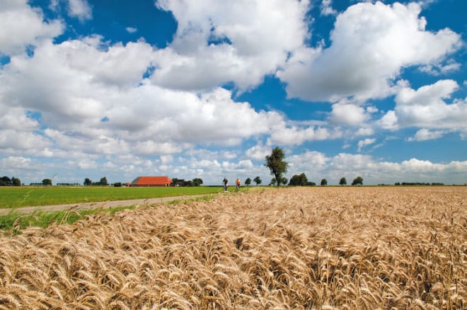 Schier endlose Weite - die einmalige ostfriesische Landschaft lässt Stress und Hektik vergessen. Foto: djd/Touristik GmbH Südliches Ostfriesland