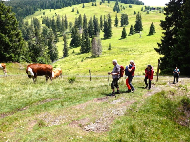 Deutschland Wandergruppe im Schwarzwald Raus aus den Schluchten auf die Berge! Foto: Wikinger Reisen