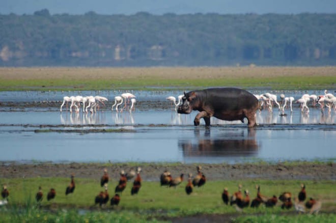 Isimangaliso Wetland Park Lake St.Lucia Foto: SOUTH AFRICAN TOURISM