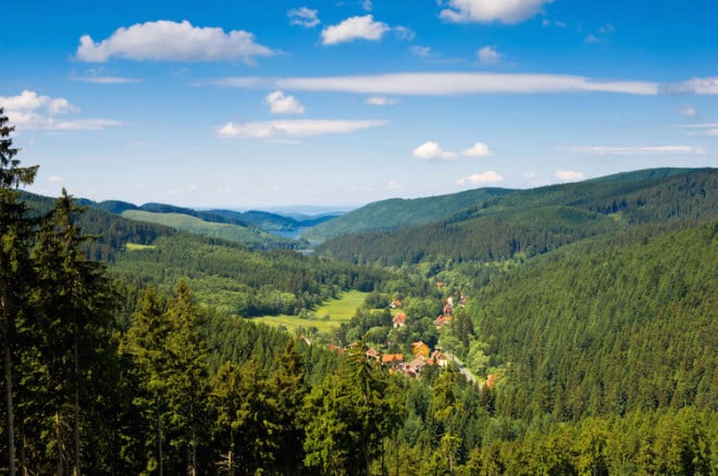 Natur pur - der sogenannte Försterstieg bietet als Weitwanderweg beste Panorama-Aussichten über den Westharz. Foto: djd/Touristinformation Osterode am Harz