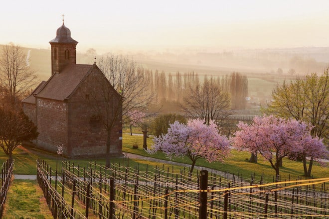 Auf dem Weg zu sich selbst lohnt es sich, einfach einmal innezuhalten und die Umgebung auf sich wirken zu lassen. (Foto: epr/Tourismusverein Südliche Weinstraße Bad Bergzabern)