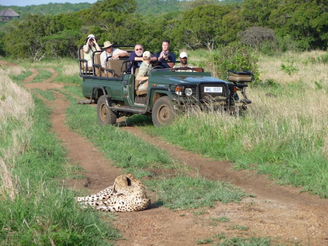 www.dein-suedafrika.de