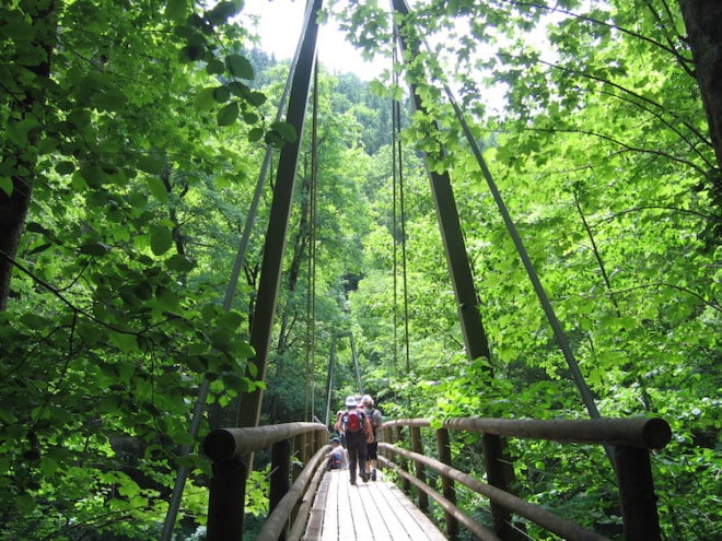 Das Wandern im Naturschutzgebiet Wutachschlucht schenkt unvergessliche Eindrücke und spektakuläre Routen. (Foto: epr/Bonndorf)