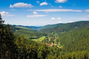 Foto: djd/Touristinformation Osterode am Harz