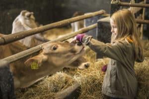 Foto: Archiv Schmallenberger Sauerland