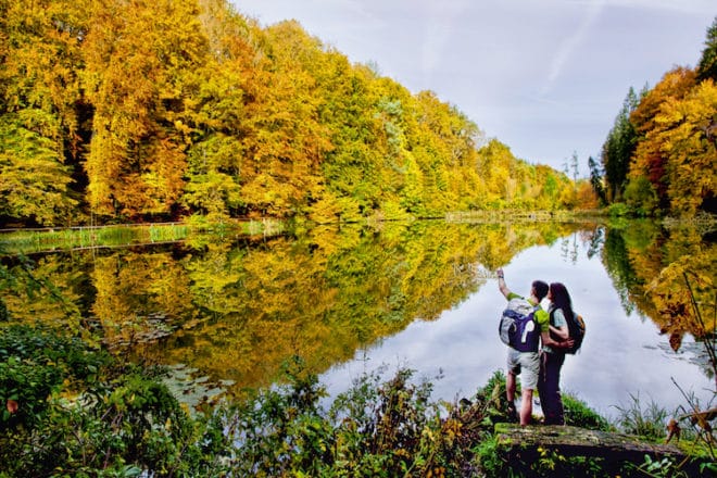 Nordamerika? Nein, Mitteleuropa! Im deutsch-französischen Grenzgebiet Pfälzerwald-Nordvogesen können Wanderfreunde im Herbst ein beeindruckendes Naturschauspiel bestaunen – Indian Summer in heimischen Gefilden. (Foto: epr/WANDERarena Pfälzerwald-Nordvogesen)