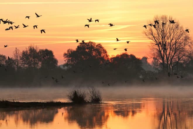 Die vielfältigen Naturräume und Landschaften entlang der Elbe sind zu jeder Jahreszeit ein Erlebnis - ganz besonders aber im goldenen Herbst. Foto: djd/Flusslandschaft Elbe/Mathias Schneider