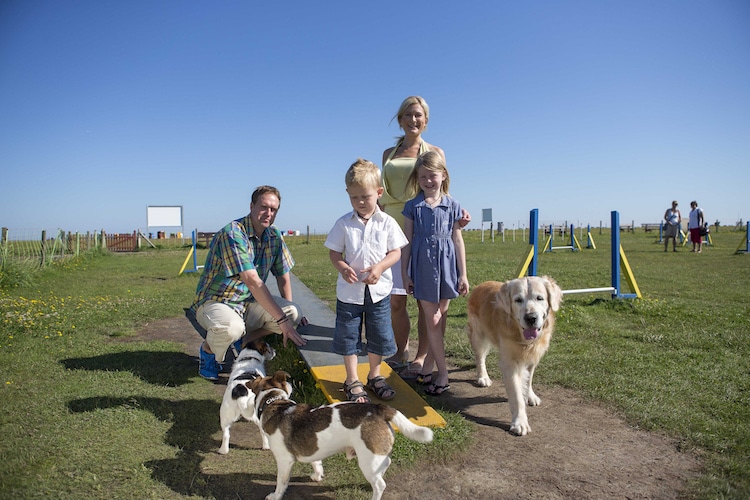 Leinen los! Im Fun-Agility-Park im Dornumerland dürfen Hunde auch ohne Leine spielen und toben. © Tourismus Gemeinde Dornum/Martin Stöver