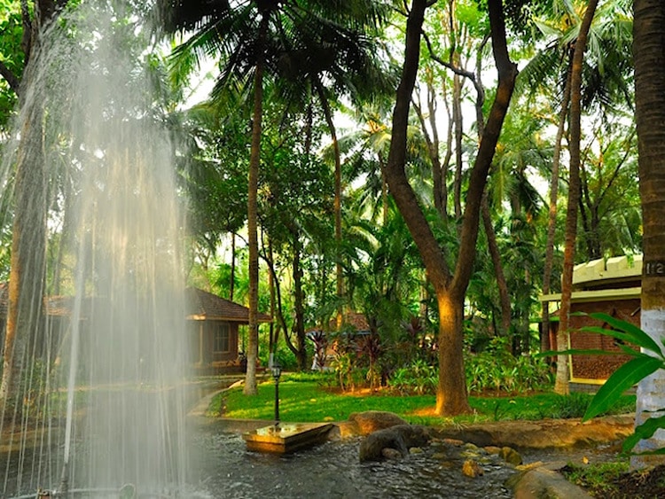 Foto: Kairali Ayurvedic Village