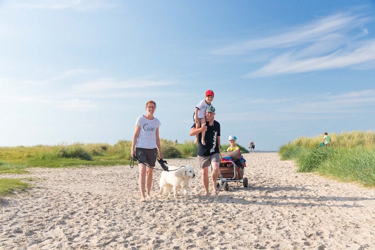 Auf zum Strand! Im Wangerland gibt es großzügig angelegte Strandabschnitte für Hunde. © Wangerland Touristik GmbH