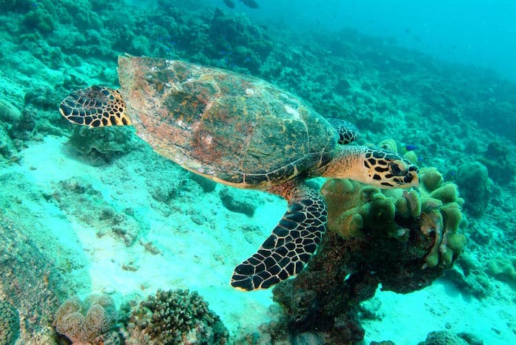 Foto: © Seychelles Tourism Board