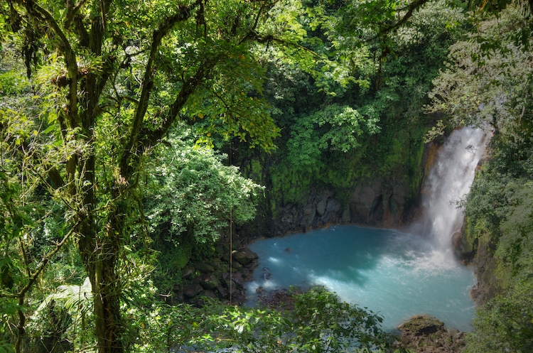 Der himmelblaue Fluss Rio Celeste Costa Rica Foto:   Wikinger Reisen 