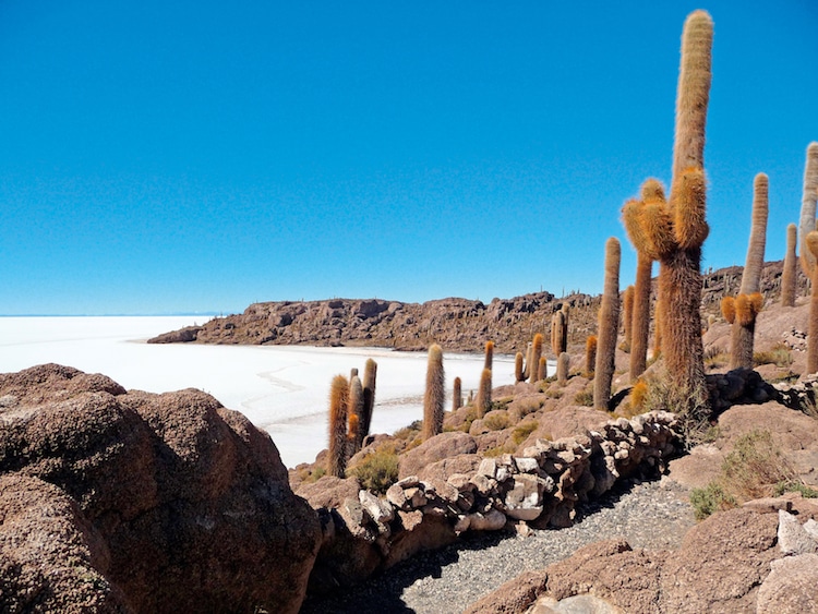 Die Salzpfanne Salar de Uyuni in Bolivien Foto: Wikinger Reisen 