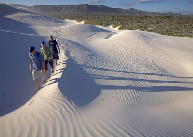 Dünenwanderung im Naturreservat Grootbos Bild: Wikinger Reisen