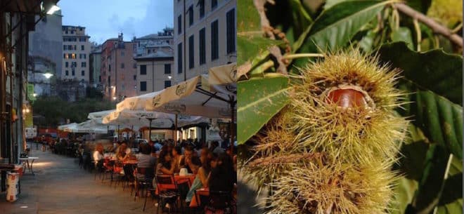 Foto: Links: Piazza delle Erbe in Genua – hier erfreuen sich die Biere der Mikrobrauereien großer Beliebtheit Rechts: Die Kastanie ist eine wichtige Zutat des „Castagnasca"  Foto Credit: Photo Archive Agenzia „In Liguria"