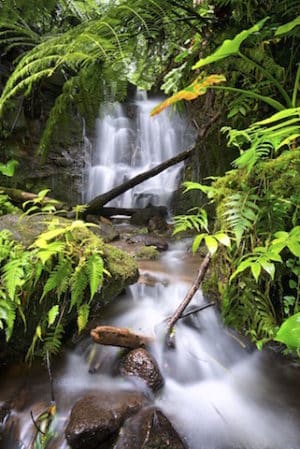 Foto: © Big Island Visitors Bureau (BIVB) / Tyler Schmitt 