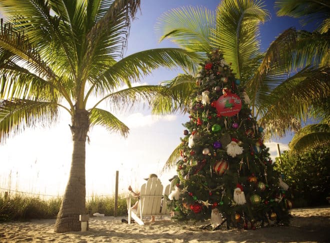 Weihnachten mit Christbaum unter Palmen Foto: ©The Beaches of Fort Myers & Sanibel