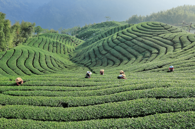 Foto: Taiwan Tourismus