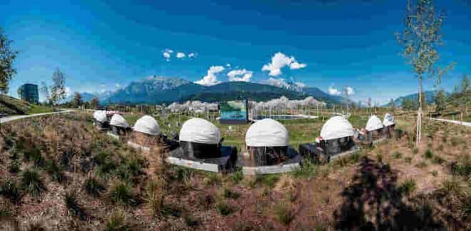 Filmvergnügen unter dem Kristallhimmel bei den Swarovski Kristallwelten