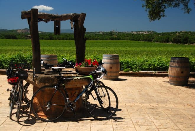 Die Balearen eignen sich hervorragend für den Weinanbau