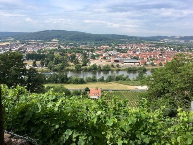 Der fränkische Rotwein Wanderweg führt durch die Weinterrassen oberhalb des Mains entlang.