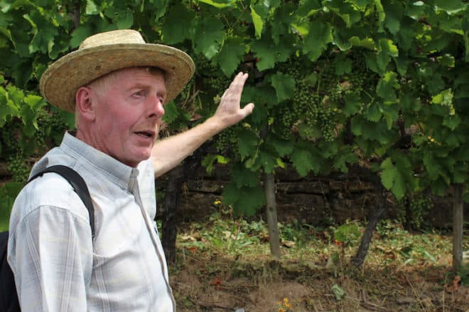 Reinhold Hillerich beantwortet im Weinberg auf dem fränkischen Rotwein Wanderweg geduldig jede Frage