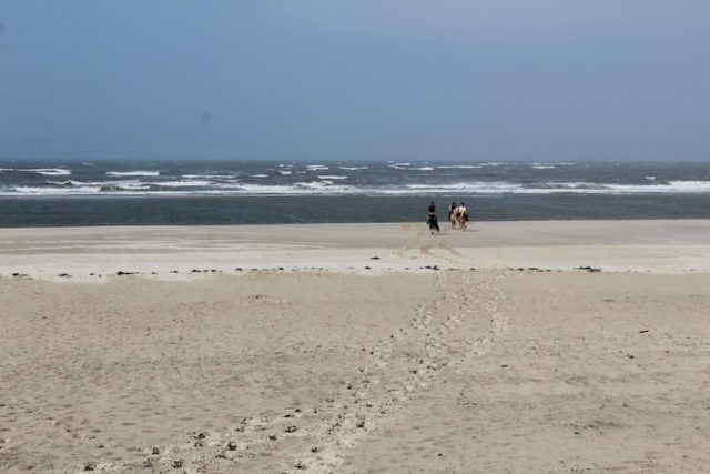 Lange Ausritte an der Nouvelle-Aquitaine Atlantikküste.