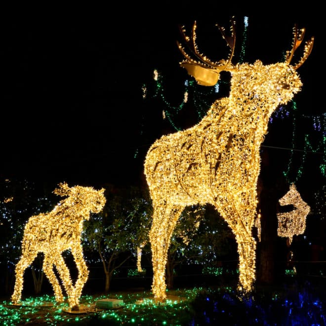 Mit dem Trail of Lights finden Besucher hier einen von Millionen von Lichtern erhellten Weg im KwaZulu-Natal in Südafrika